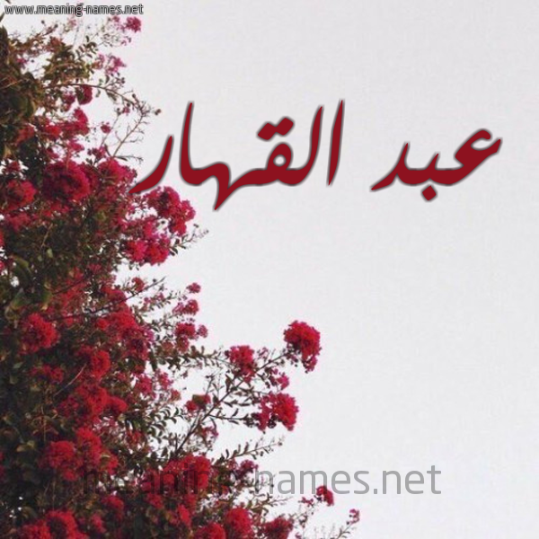 شكل 18 صوره الورد الأحمر للإسم بخط رقعة صورة اسم عبد القهار ABD-ALQHAR